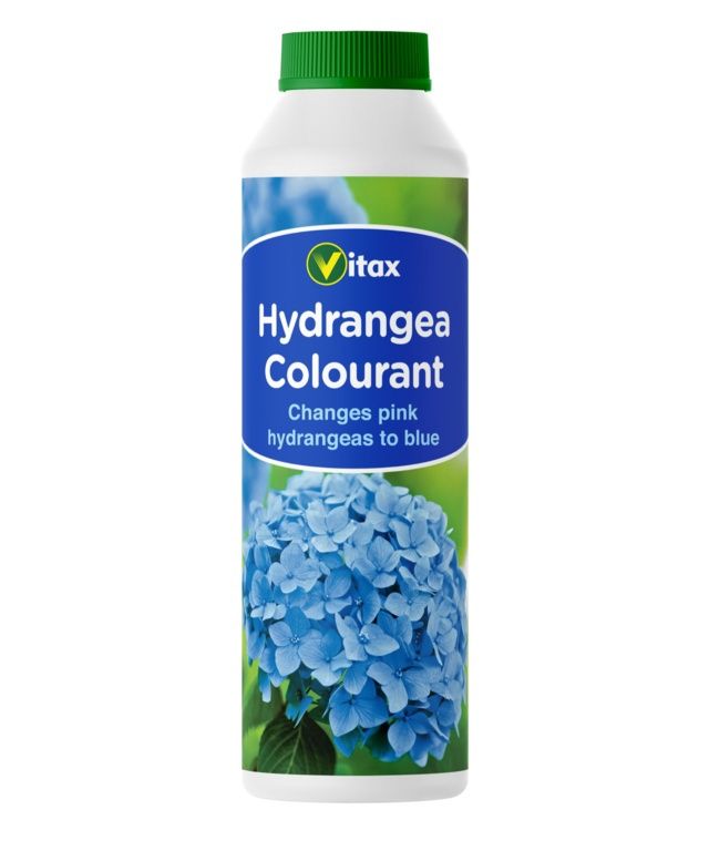 HYDRANGEA COLOURANT 250G
