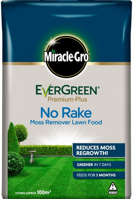 EVERGREEN NO MOSS NO RAKE 10KG