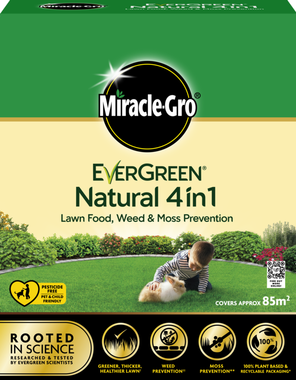 EVERGREEN NATURAL 4IN1 85M2