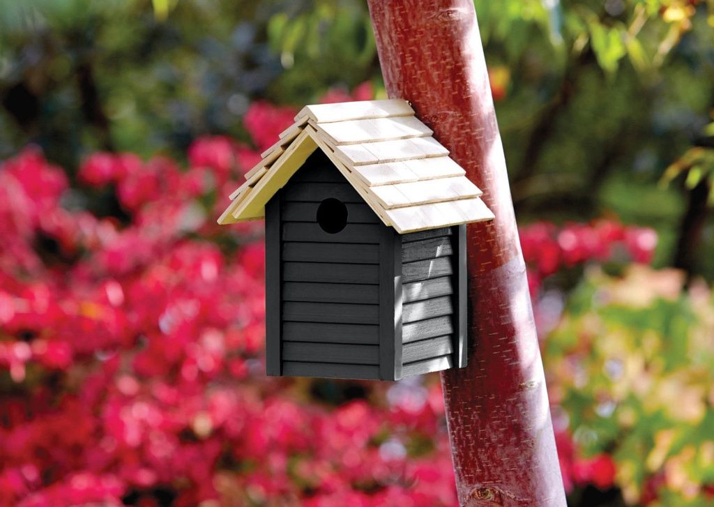 RONSEAL GARDEN PAINT BLACKBIRD 2.5LT