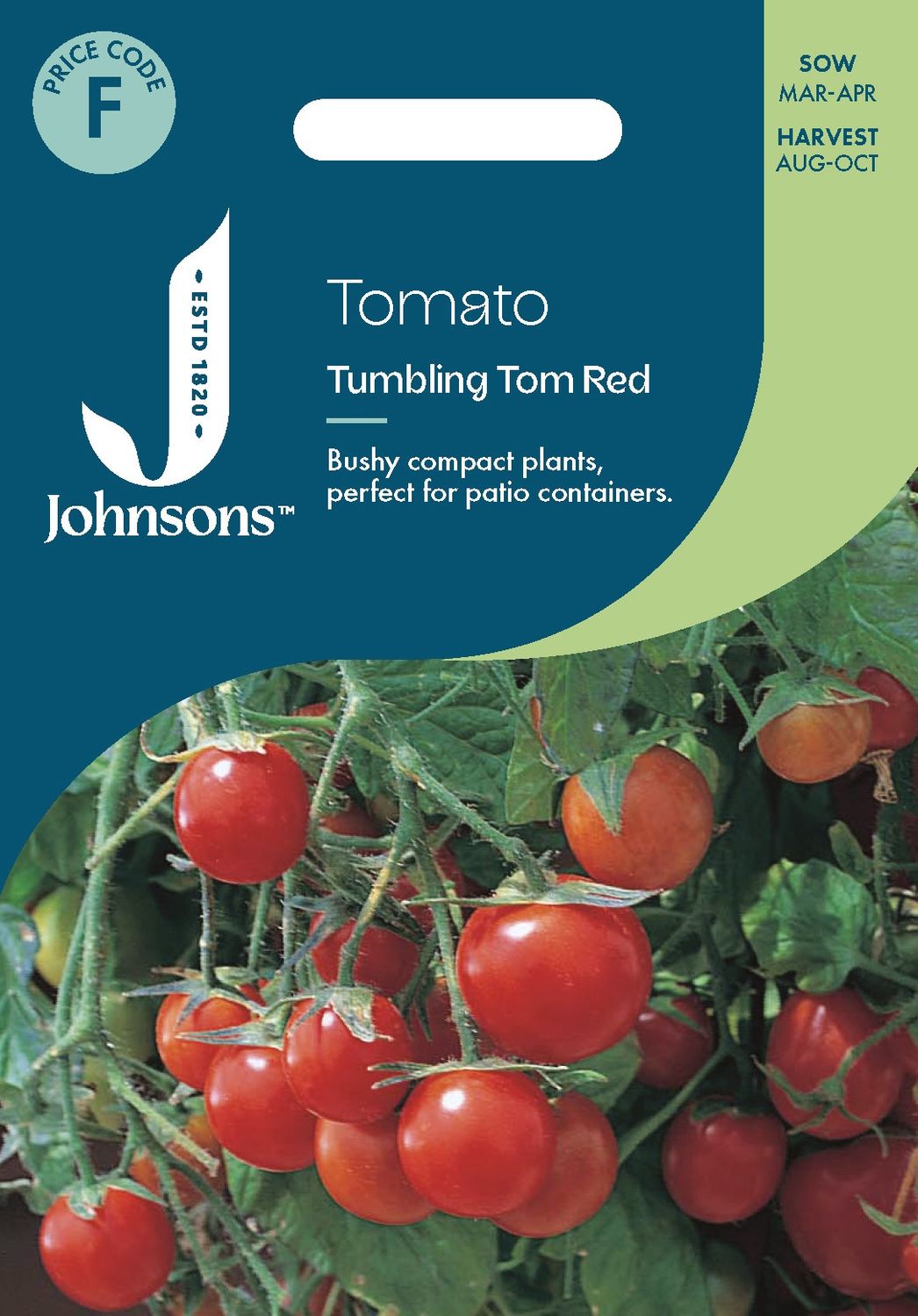 UK/JO-TOMATO TUMBLING TOM RED