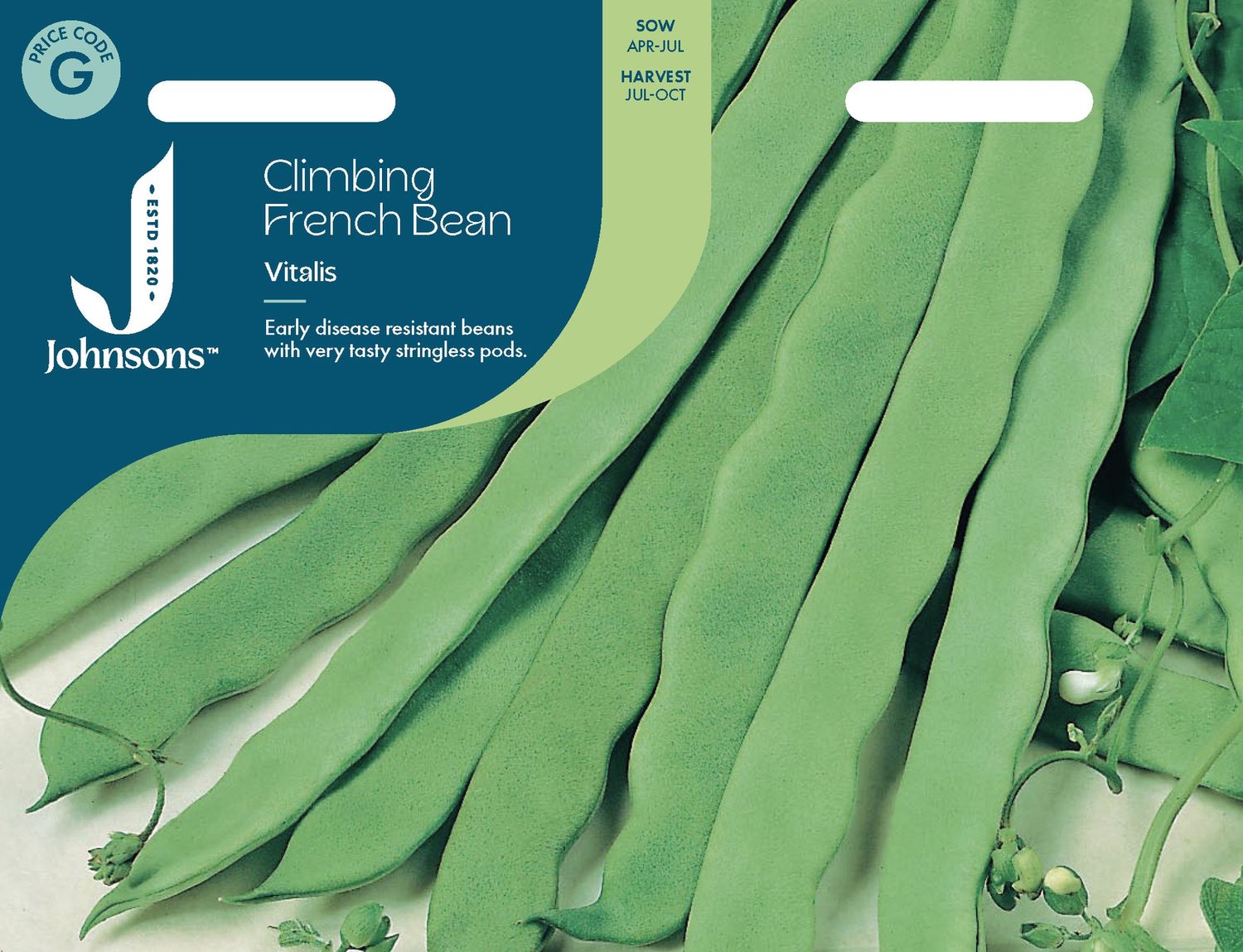 UK/JO-CLIMBING FRENCH BEAN VITALIS