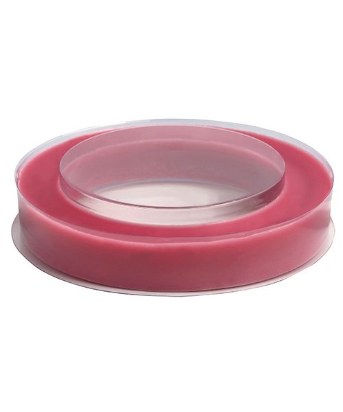 SANI-RING - SOLID QUAT BASED SANITIZER - 200 G (12/CS)