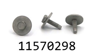 GM 11570298