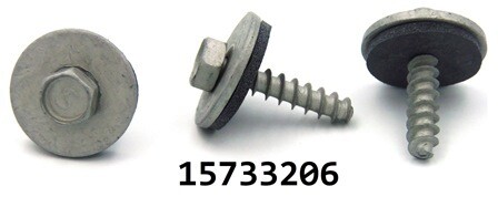GM 15733206