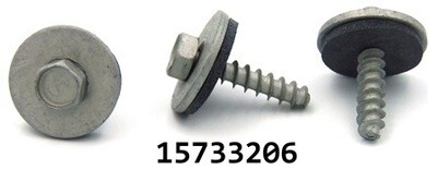 GM 15733206