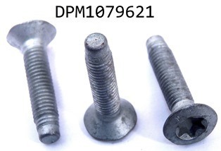 DPM1079621