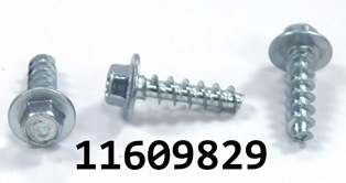 GM 11609829