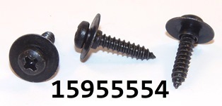 GM 15955554
