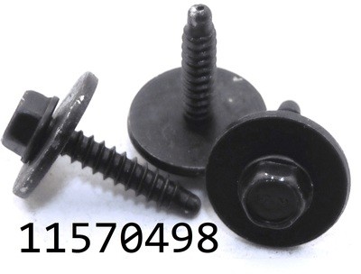 GM 11570498
