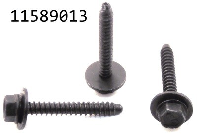 GM 11589013