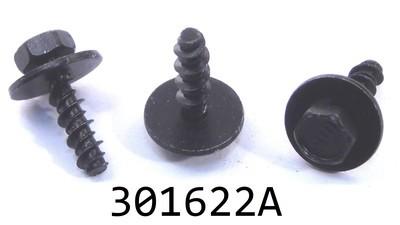 301622A