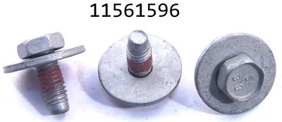 GM 11561596