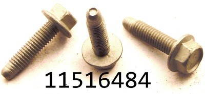 GM 11516484