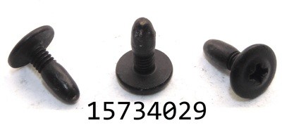 GM 15734029