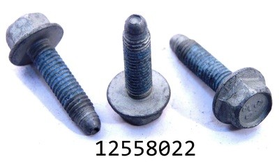 12558022