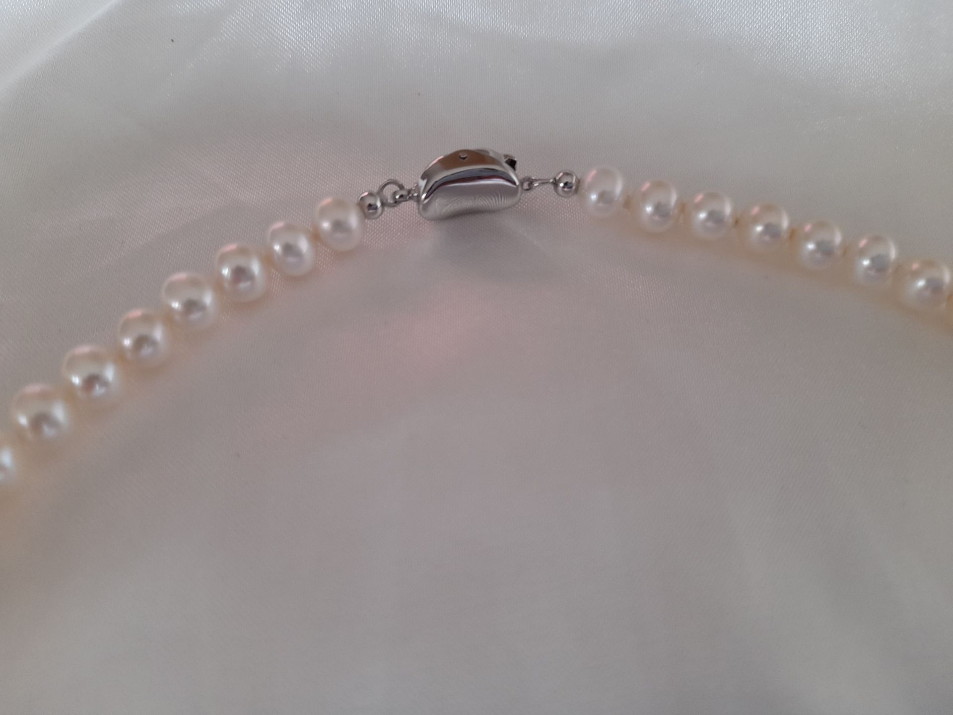 Special Collection: Freshwater Pearl Necklace Ivory Grace