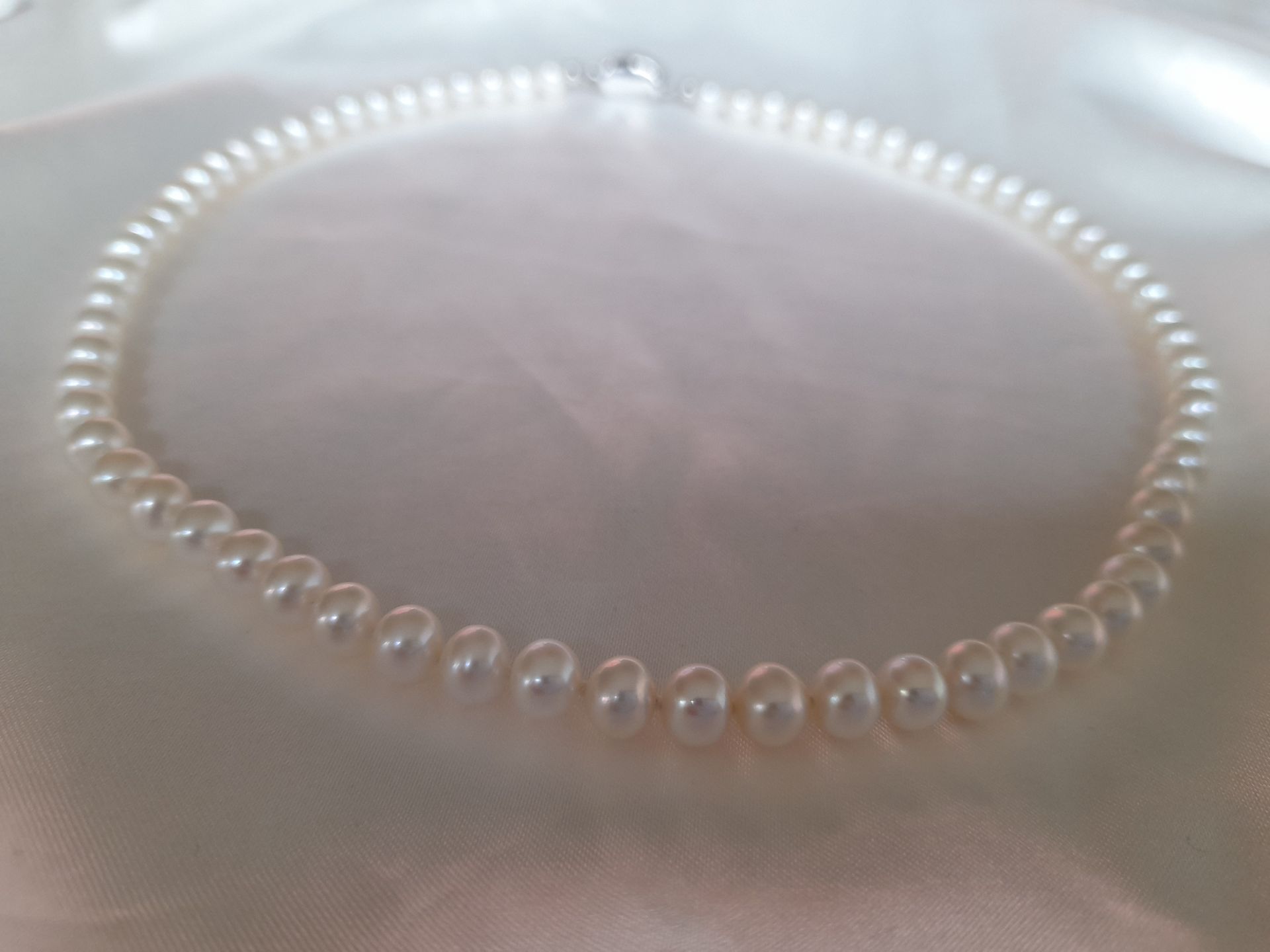 Special Collection: Freshwater Pearl Necklace Timeless Elegance