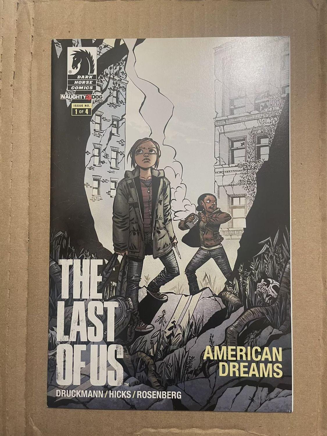 The Last of Us: American Dreams #1 (2013) Dark Horse Comics 4/13 - Survival Edition Cover (Personal Collection