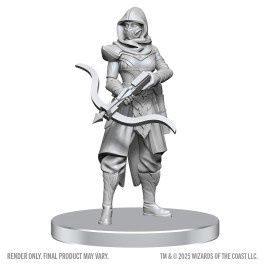 D&amp;D Nolzur's Marvelous Miniatures: Assassin &amp; Berserker