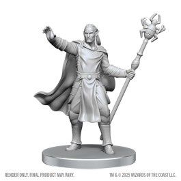 D&amp;D Nolzur's Marvelous Miniatures: Drow Mage &amp; Yochlol