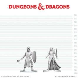 D&amp;D Nolzur's Marvelous Miniatures: Black Gauntlet &amp; Zhentilar Paladin of Bane