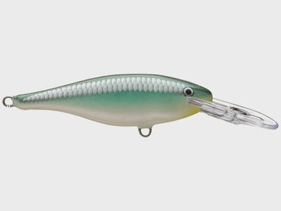 Rapala Shad Rap 7/SR-7 Series