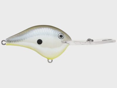 Rapala Dive to 20/DT-20