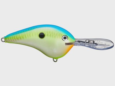 Rapala Dive to 14/DT-14 Series
