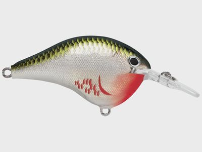 Rapala Dives to 6/DT-6 Series