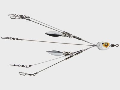 6th Sense Divine Umbrella Rig