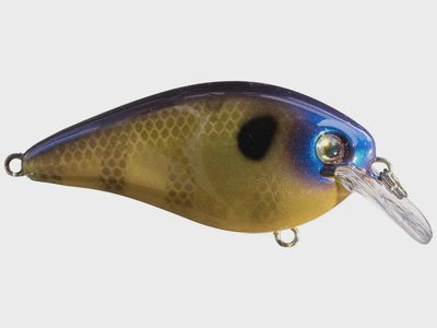 Strike King KVD 1.5 Square Bill Series