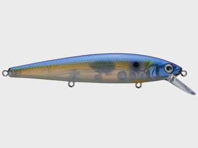 Strike King KVD Elite 300 Jerk Bait Series