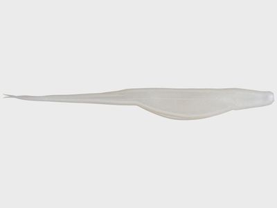 Zoom Super Fluke - 7&quot; Magnum