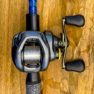 Baitcasting Reels