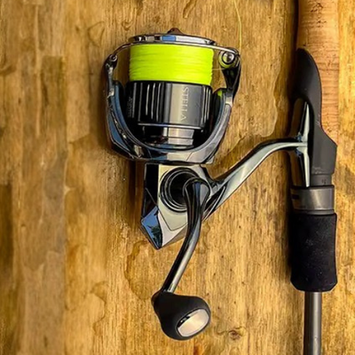 Spinning Reels