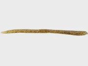 JackAll Flick Shake Worm - 5/8&quot;, color: Watermelon Pepper