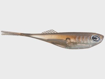 CAST Fishing Co. Echo 2.75&quot;
