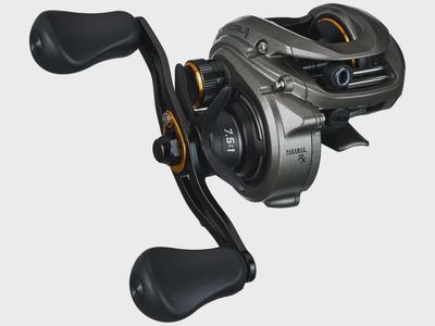 Lew's Accel RX Casting Reels