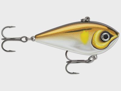 Rapala Snare 50 Lipless Crankbait