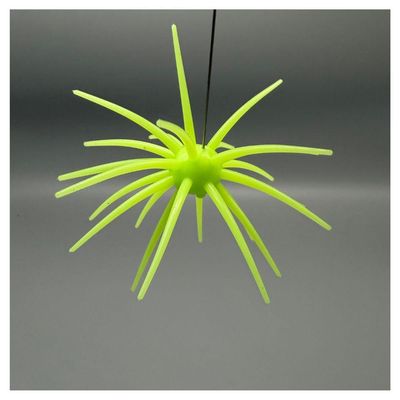 Hag's Baits Prickly Pear