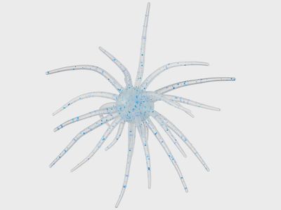 Hag's Prickly Pear 19mm Creature Bait