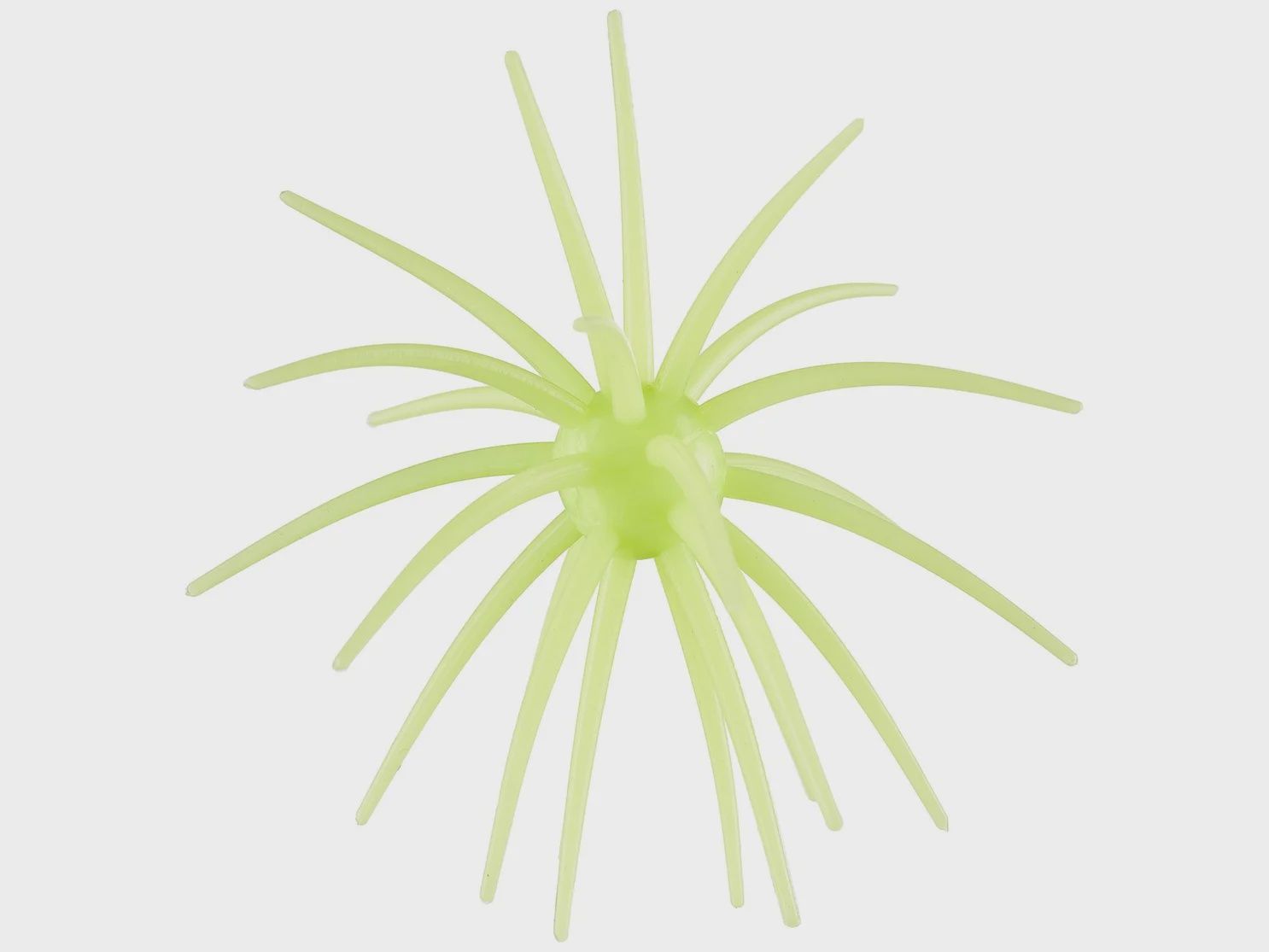 Hag's Prickly Pear 19mm Creature Bait, color: Llano Lime