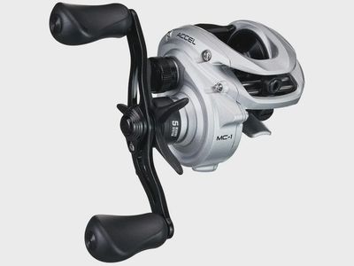 Lew's Accel Casting Reels