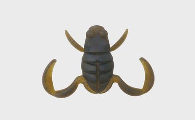 BottomUp Scooper Frog Daddy