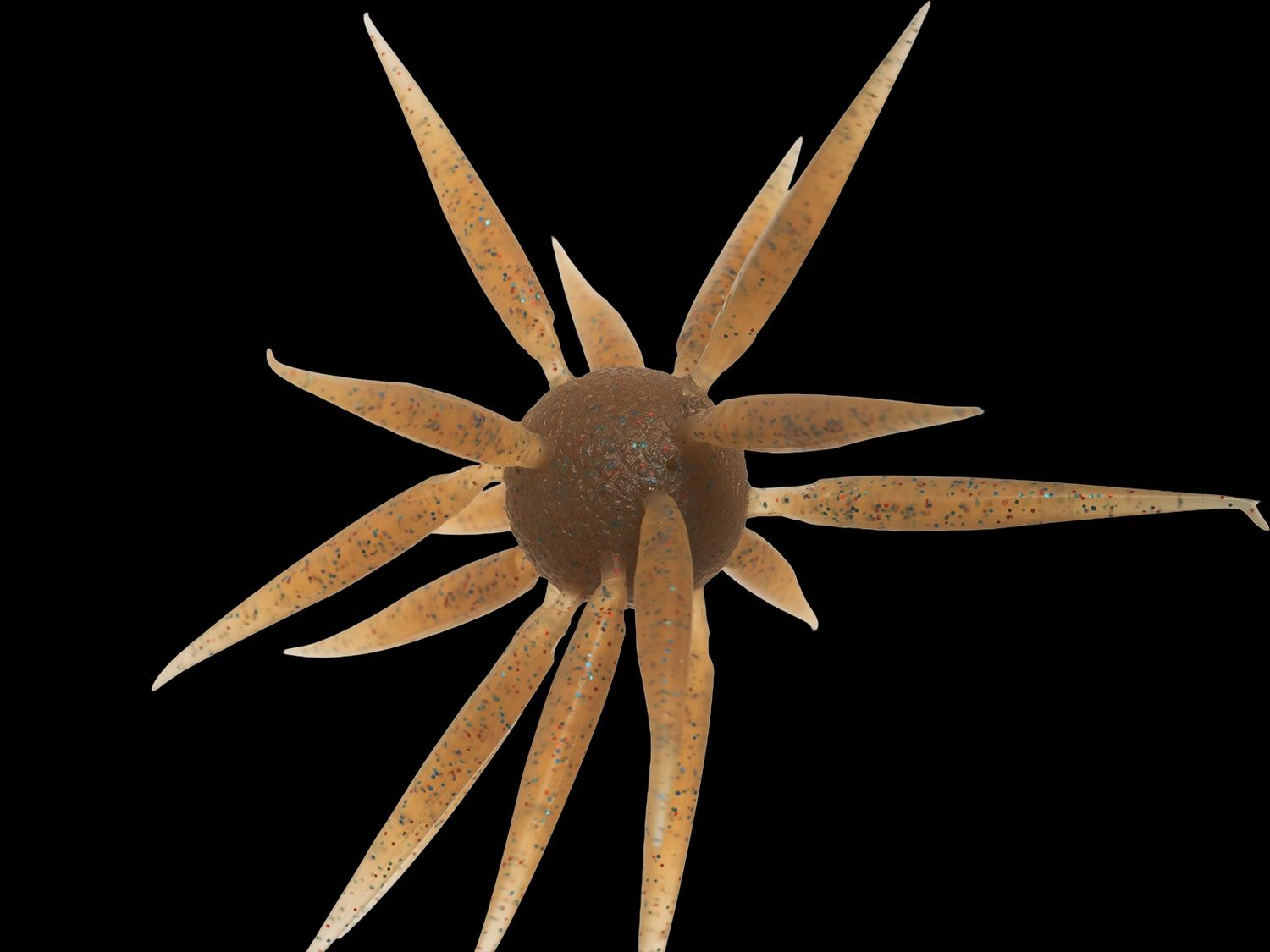 Hideup Coike Fish M, color: 004 Moebi