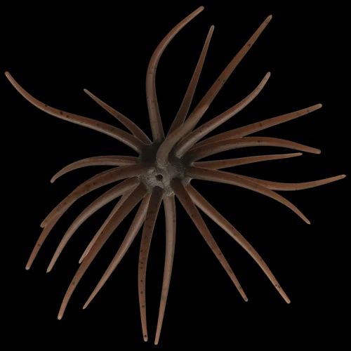 Hideup Kyu-Coike Finesse Bait 3pk, color: #103 Green Pumpkin