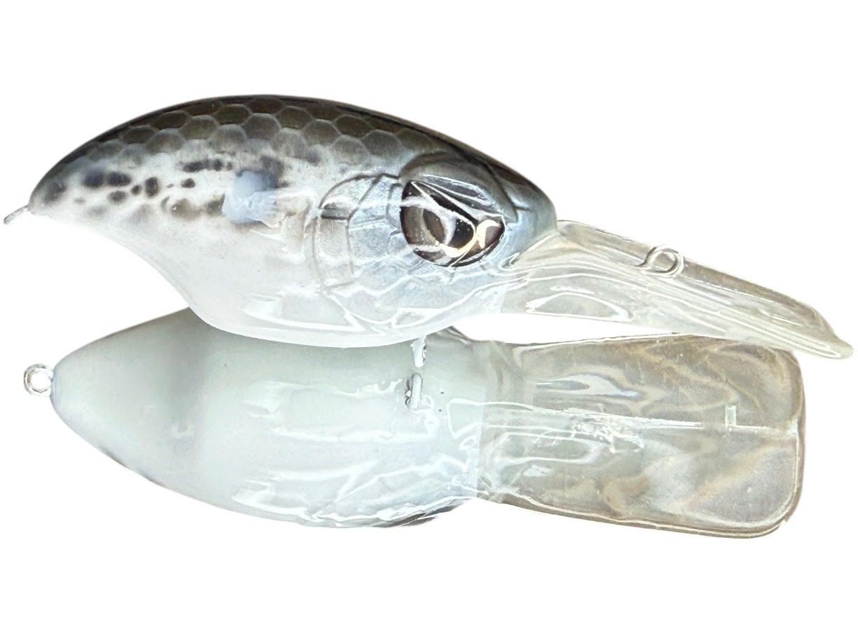 Clarks Hill Custom PL Striker, color: Albino Shad