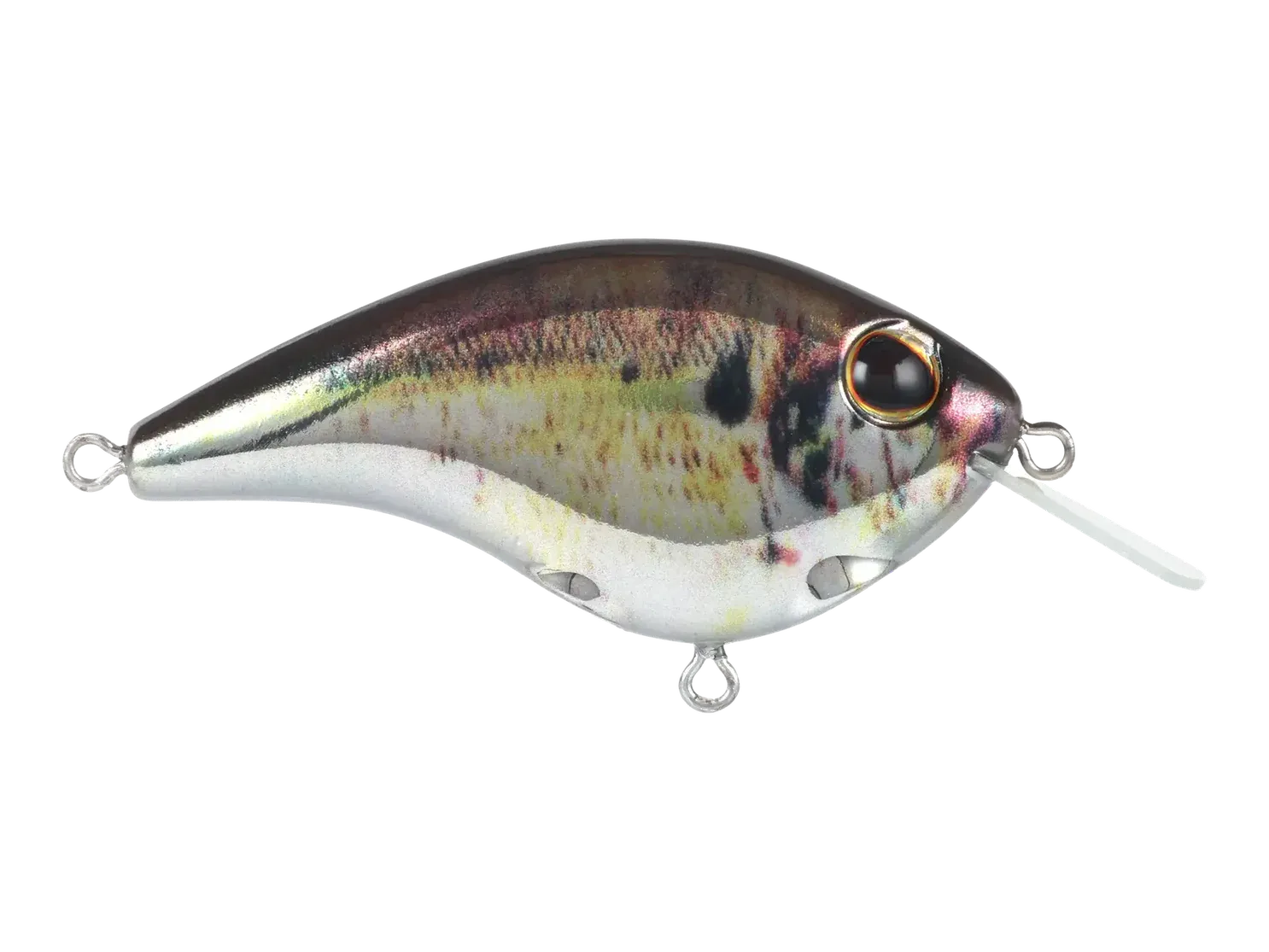 Berkley Frittside X 5 Crankbait, color: Chrome Shad