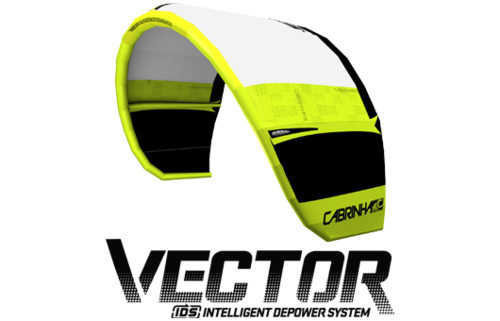 Kite 2012 Vector